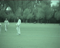 Please wait for image to load