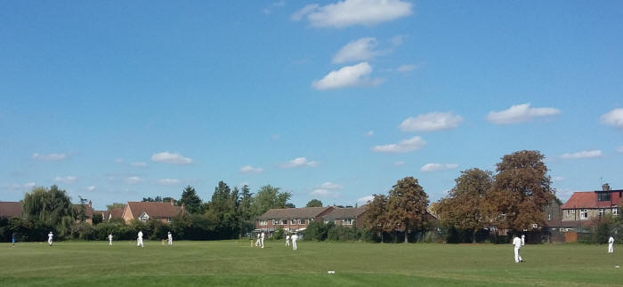 Old Fallopians v Hawks