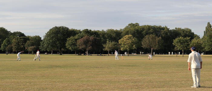 Against Mad Marrocas